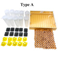 Queen Rearing Kit – Incubator Box, Cell Protectors & Cups