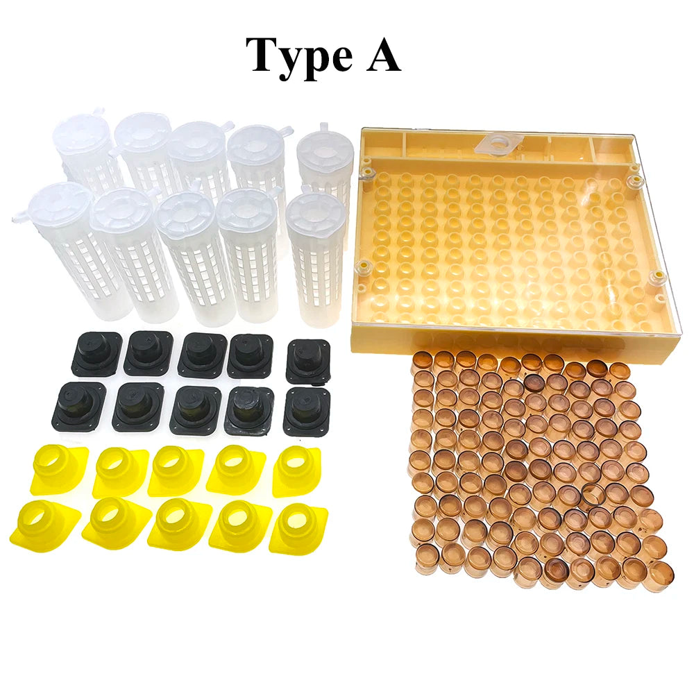 Queen Rearing Kit – Incubator Box, Cell Protectors & Cups
