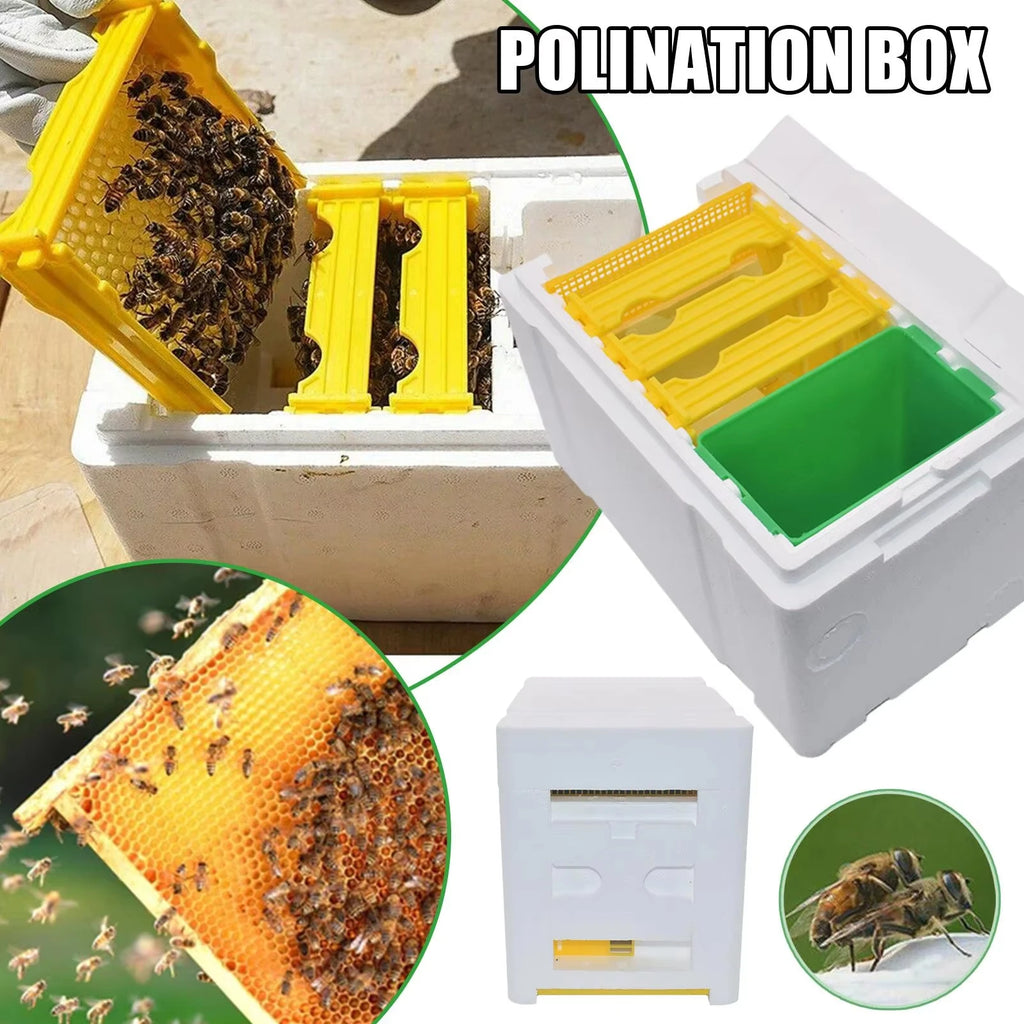 Queen Mating Nuc Box – Insulated Foam Mini Hive