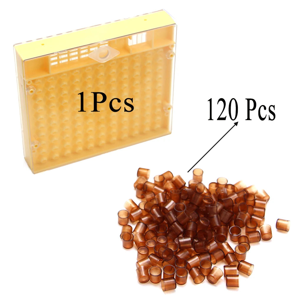 Queen Rearing Kit – Incubator Box, Cell Protectors & Cups