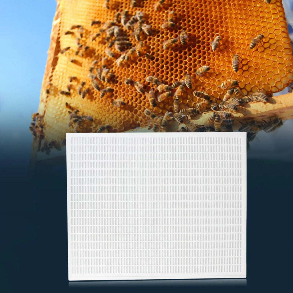 Queen Excluder – 10-Frame Plastic Hive Board