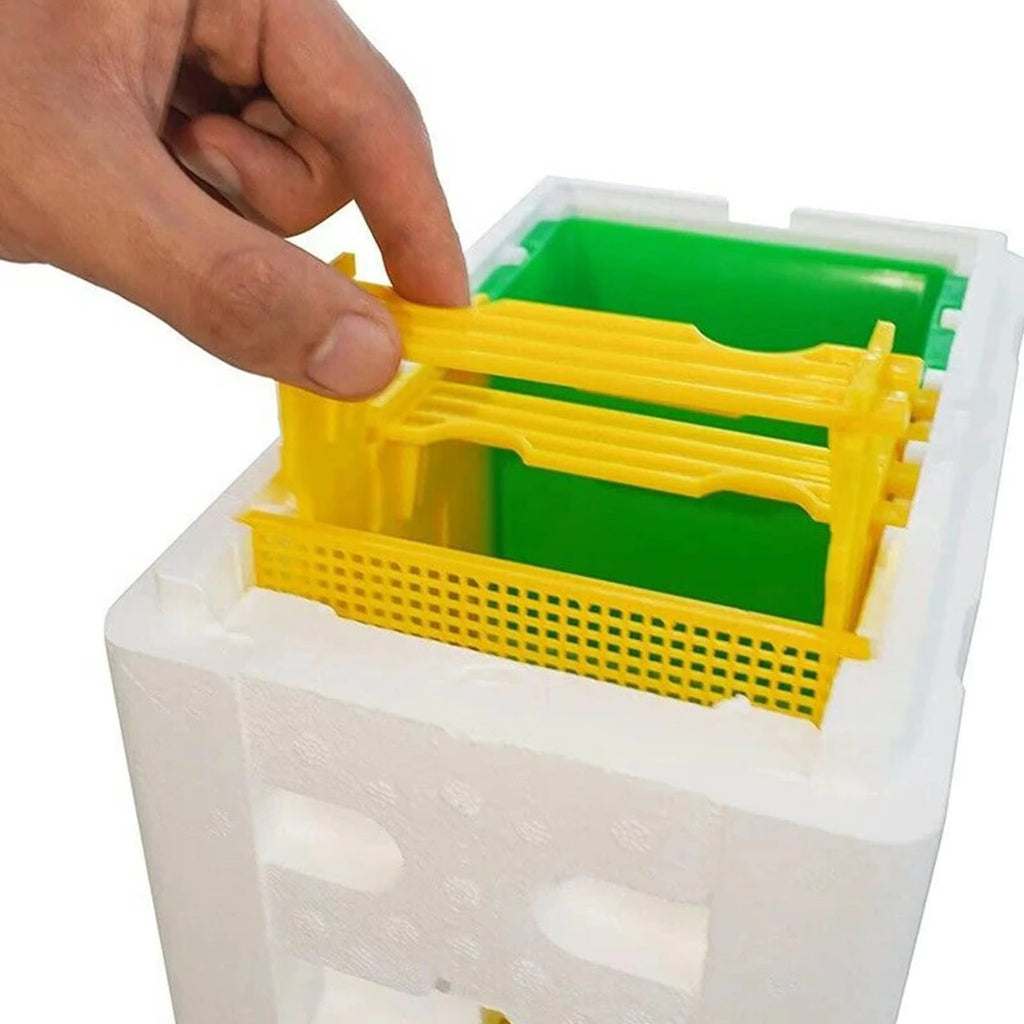 Queen Mating Nuc Box – Insulated Foam Mini Hive