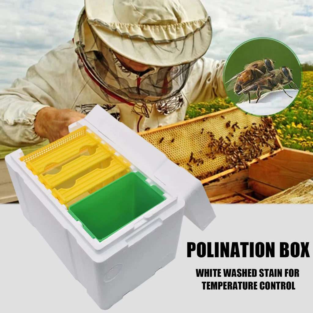 Queen Mating Nuc Box – Insulated Foam Mini Hive