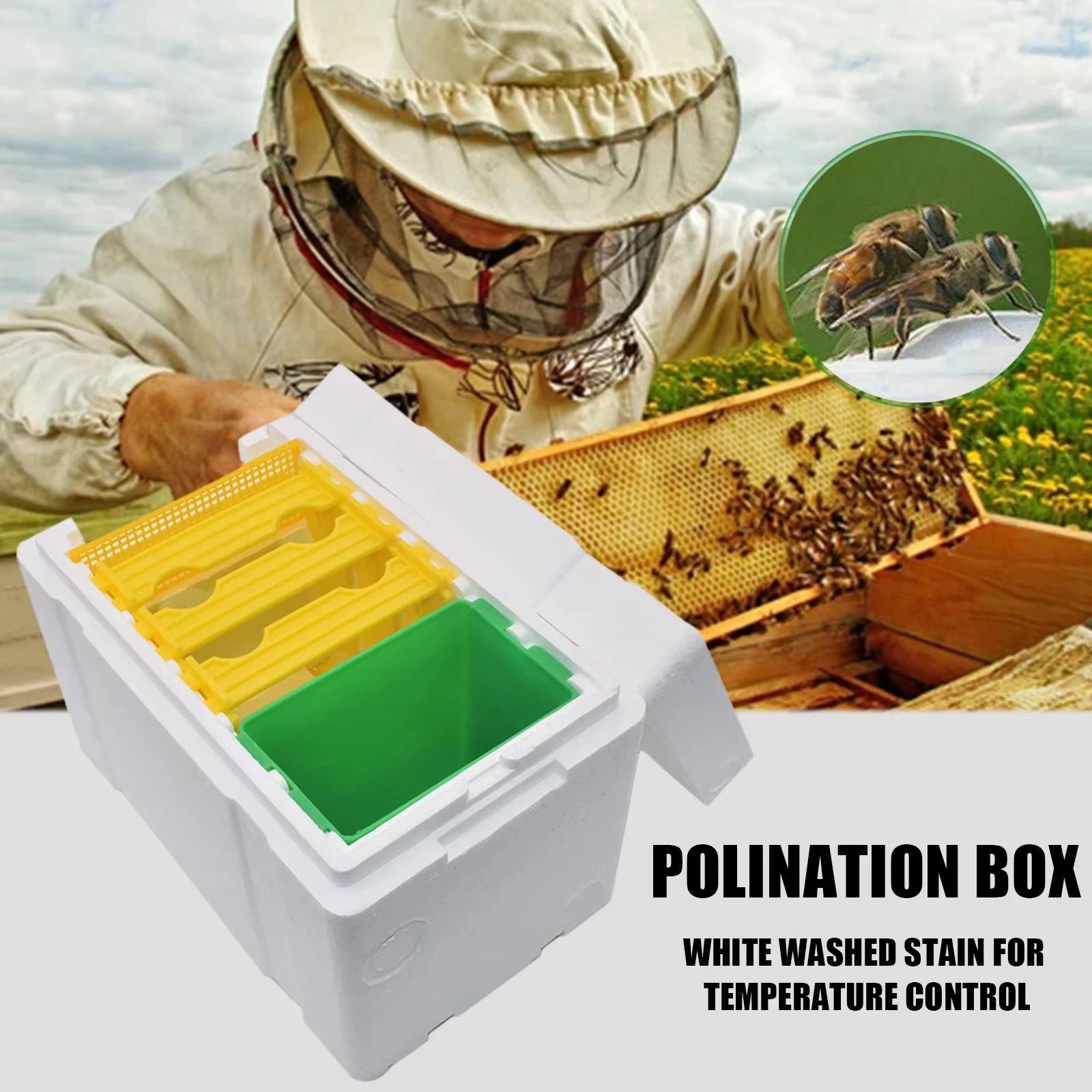 Queen Mating Nuc Box – Insulated Foam Mini Hive