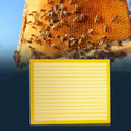 Queen Excluder – 10-Frame Plastic Hive Board