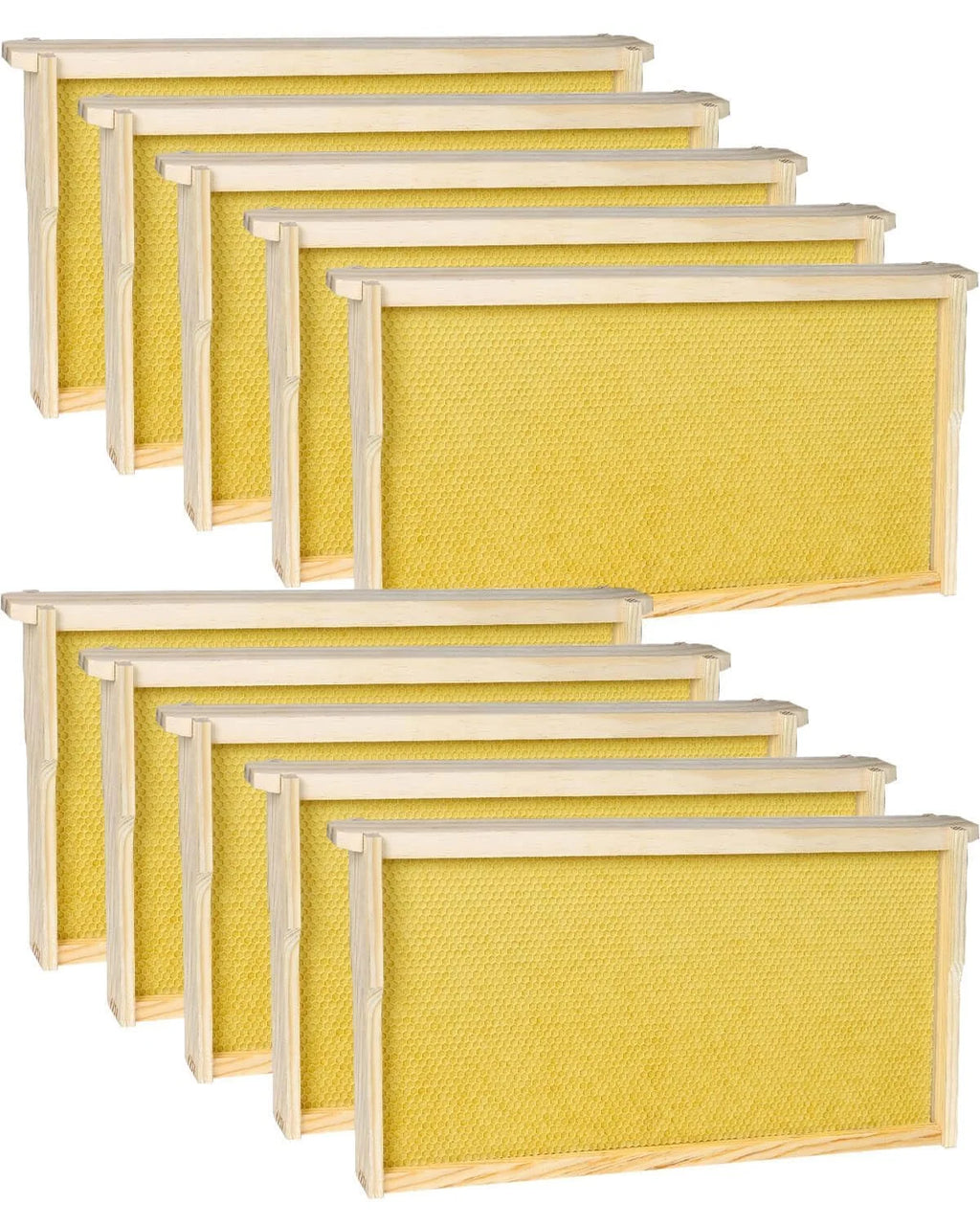 Deep Bee Frames with Wax Foundation – 10 Pack (Langstroth)