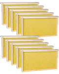 Deep Bee Frames with Wax Foundation – 10 Pack (Langstroth)