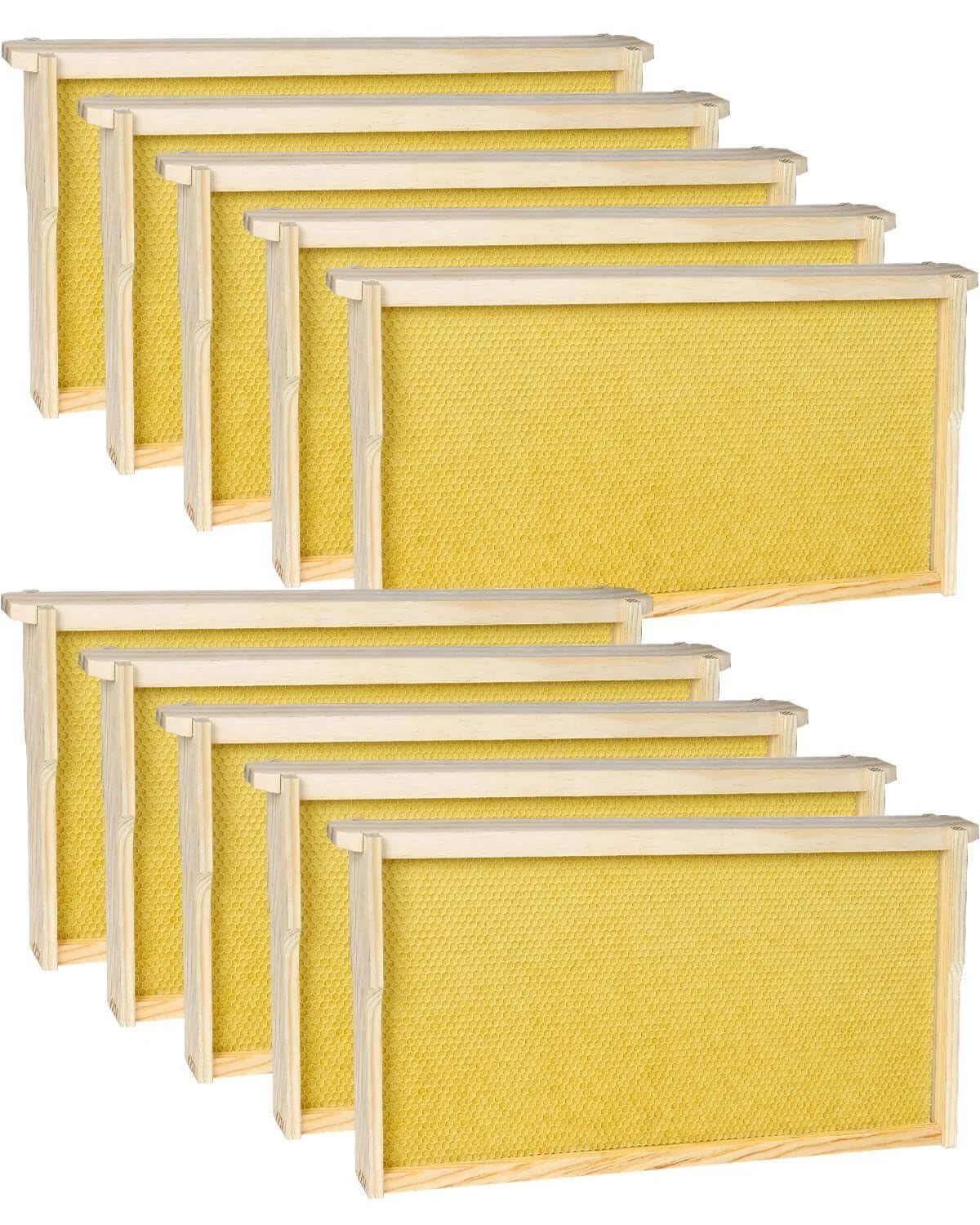 Deep Bee Frames with Wax Foundation – 10 Pack (Langstroth)