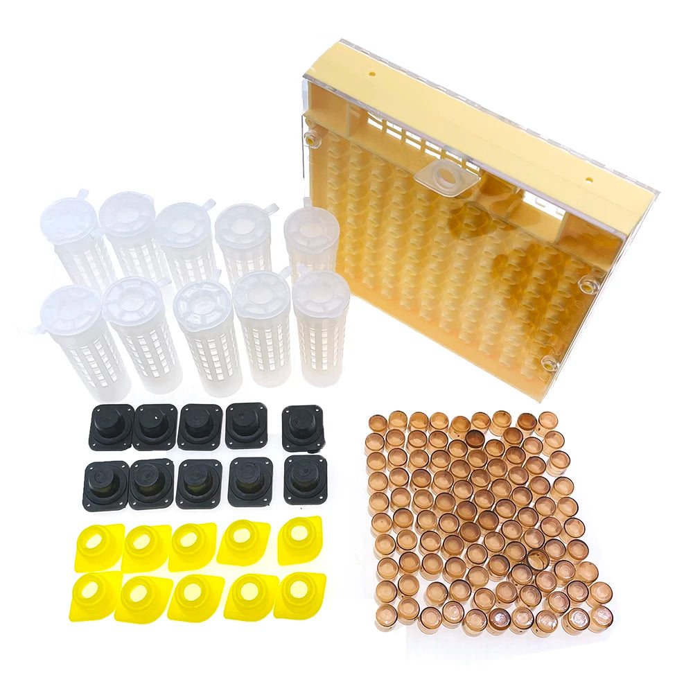 Queen Rearing Kit – Incubator Box, Cell Protectors & Cups