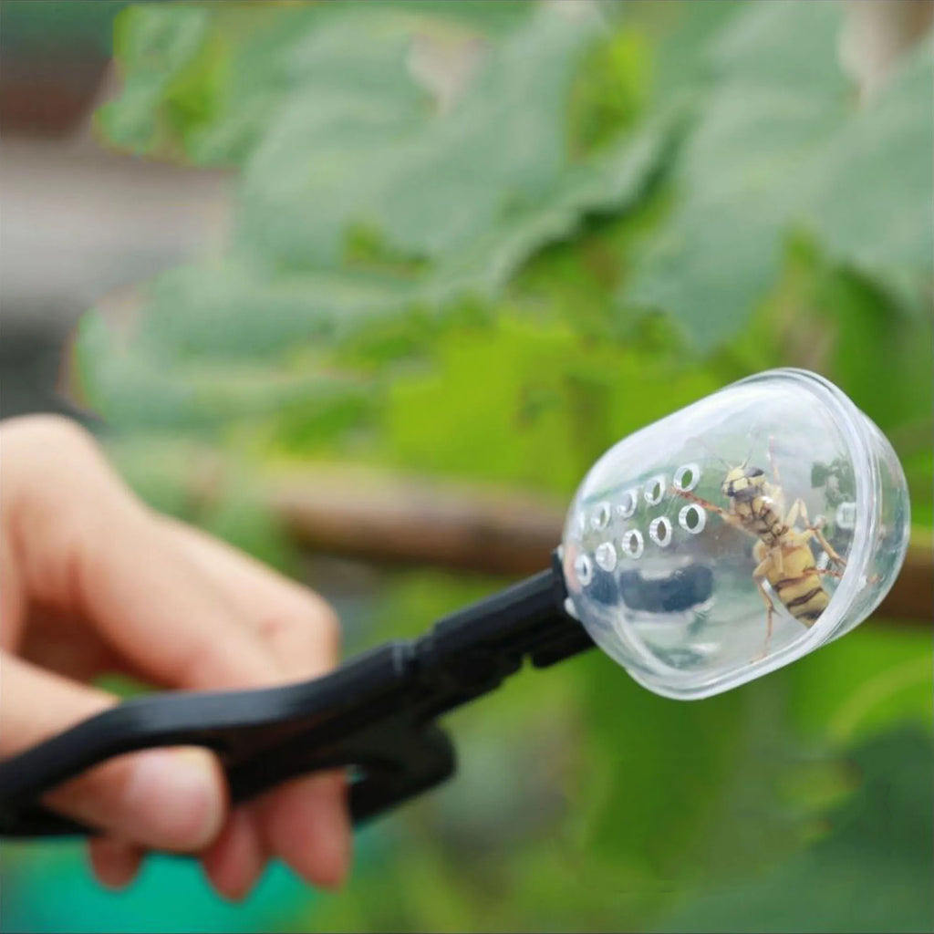 Queen Bee Catcher Clip – One-Handed Marking Cage